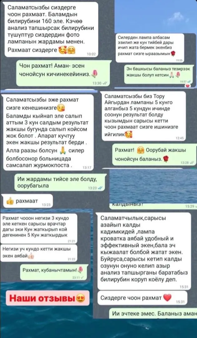 WhatsApp Image 2026-01-17 at 17.47.09